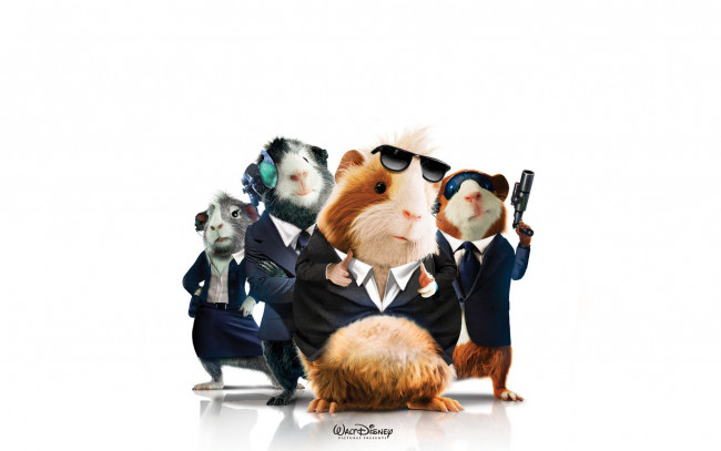 Обои картинки фото миссия, дарвина, мультфильмы, force, грызуны, g
