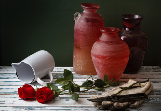 Картинка цветы розы горшки секатор стебли