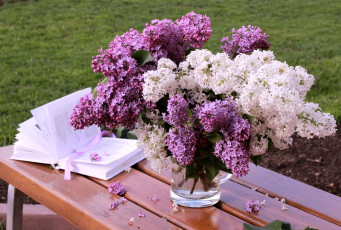 Картинка цветы сирень букет книга
