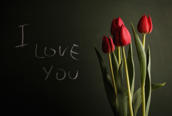 Картинка цветы тюльпаны красный надпись признание