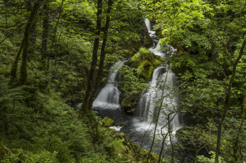 Картинка colwith force england природа водопады river brathay lake district англия лес река