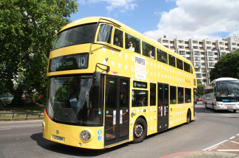 Картинка автомобили автобусы пассажирский транспорт