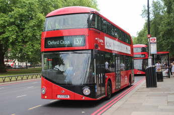 Картинка автомобили автобусы пассажирский транспорт