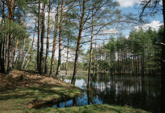 Картинка природа реки озера лес река