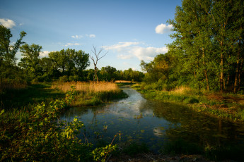 Картинка природа реки озера река лес