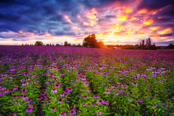 Картинка природа восходы закаты рассвет