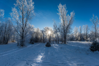 Картинка природа зима снег