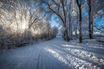 Картинка природа зима снег