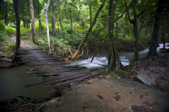 Картинка природа дороги тракт