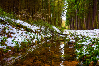 Картинка природа реки озера деревья