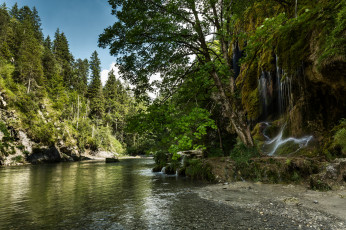 Картинка природа реки озера река лес