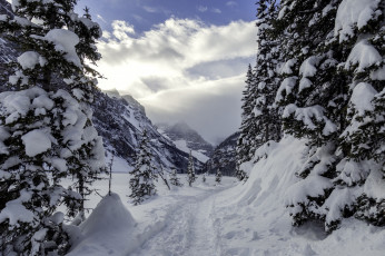 Картинка природа зима снег