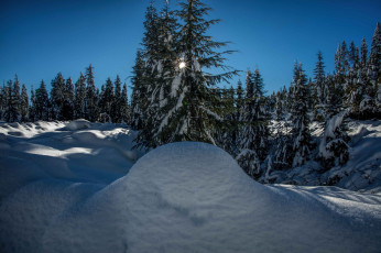 Картинка природа зима снег