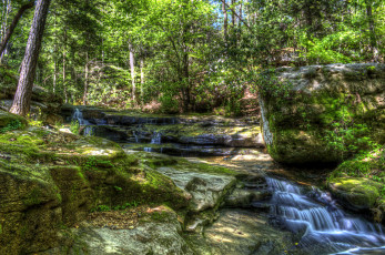 Картинка природа реки озера лес река