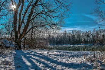 Картинка природа зима снег