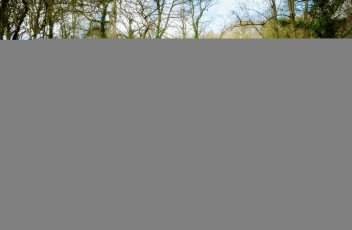 Картинка природа реки озера река лес