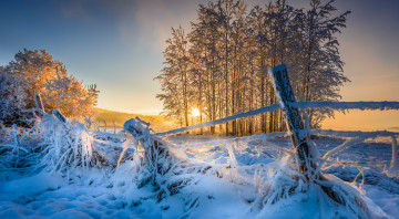 Картинка природа зима снег