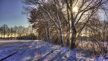 Картинка природа дороги тракт