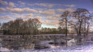 Картинка природа реки озера река лес