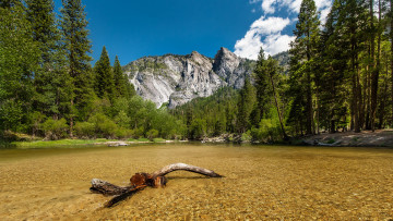 Картинка природа реки озера река лес