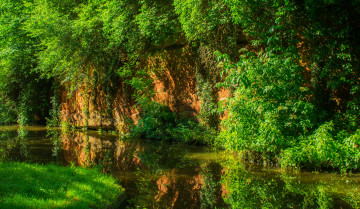 Картинка природа реки озера река лес