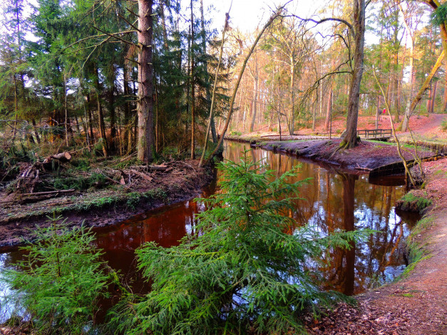 Обои картинки фото природа, реки, озера, река, лес