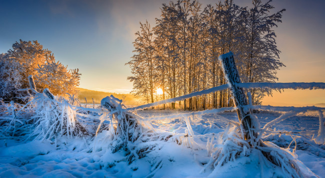 Обои картинки фото природа, зима, снег