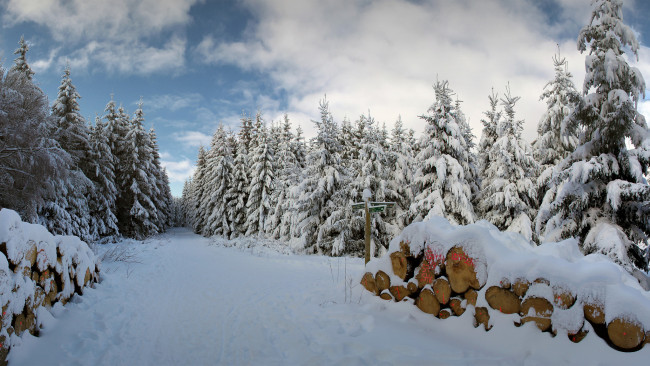 Обои картинки фото природа, зима, снег