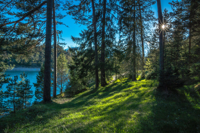 Обои картинки фото природа, реки, озера, лес, река