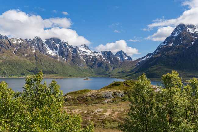 Обои картинки фото природа, реки, озера, река, лес