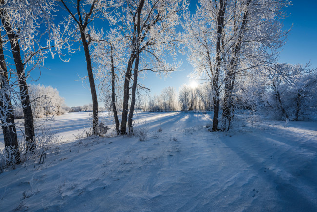 Обои картинки фото природа, зима, снег