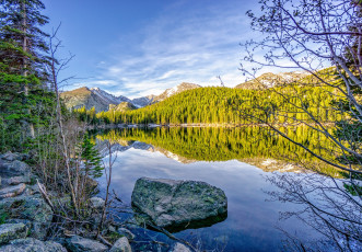 Картинка природа реки озера река лес