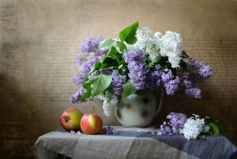 Картинка еда натюрморт кувшин шаль столик ветки сирень фрукты яблоки