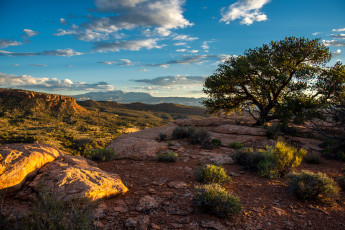 Картинка природа пейзажи простор