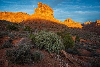 Картинка природа пустыни простор