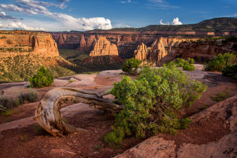 Картинка природа пустыни простор