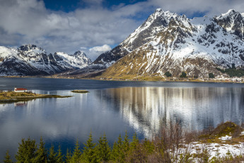 Картинка природа реки озера река лес