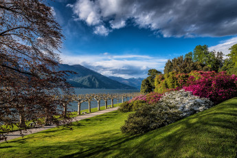 Картинка природа реки озера река лес