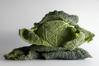 Картинка еда капуста+и+её+разновидности плоды