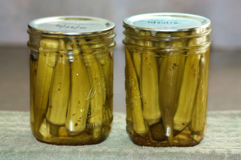 Картинка еда консервация окра бамия