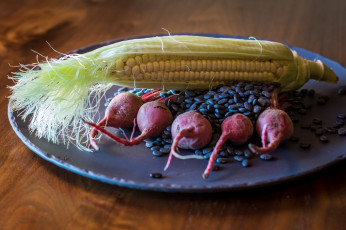 Картинка еда овощи плоды