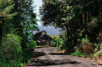 Картинка природа дороги простор