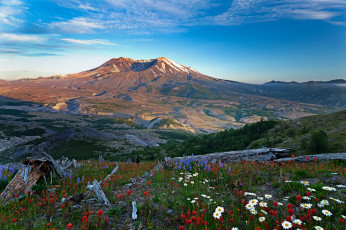 Картинка природа луга простор