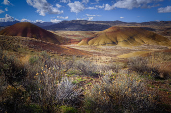 Картинка природа пейзажи простор