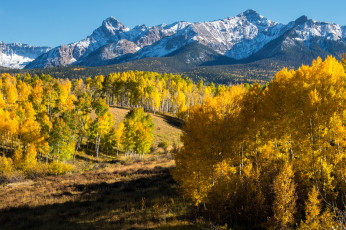 Картинка природа пейзажи простор