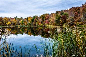 Картинка природа реки озера осень