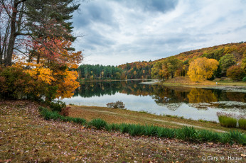 Картинка природа реки озера осень