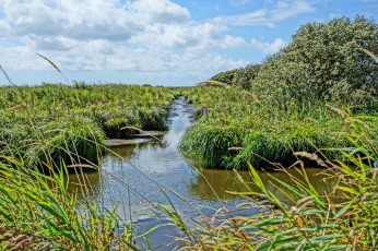 Картинка природа реки озера простор