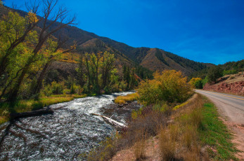 Картинка природа реки озера лес река