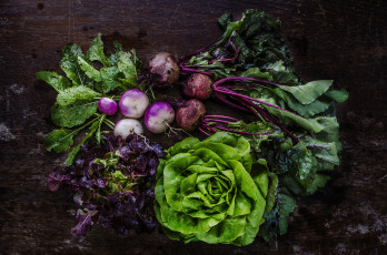 Картинка еда овощи плоды